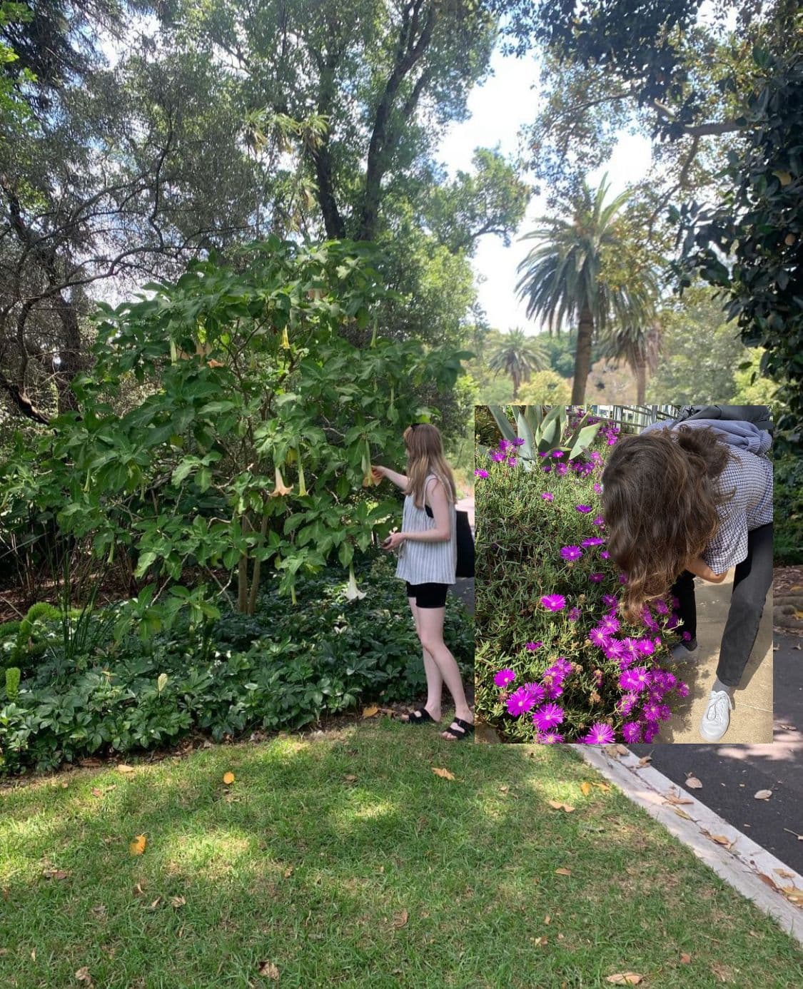 Alice Johnston Rougeaux & Hannah Pezzack